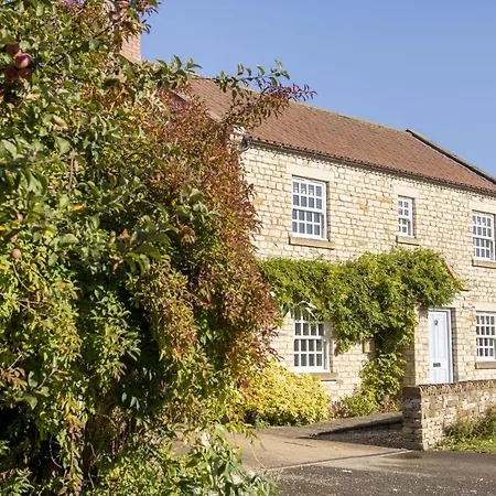 Saxon House Dom wakacyjny *